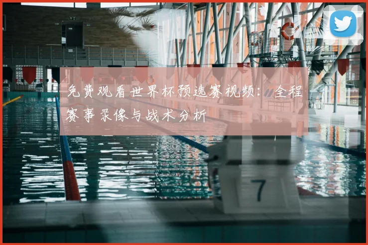 免费观看世界杯预选赛视频：全程赛事录像与战术分析