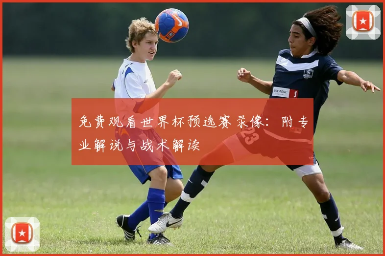 免费观看世界杯预选赛录像：附专业解说与战术解读