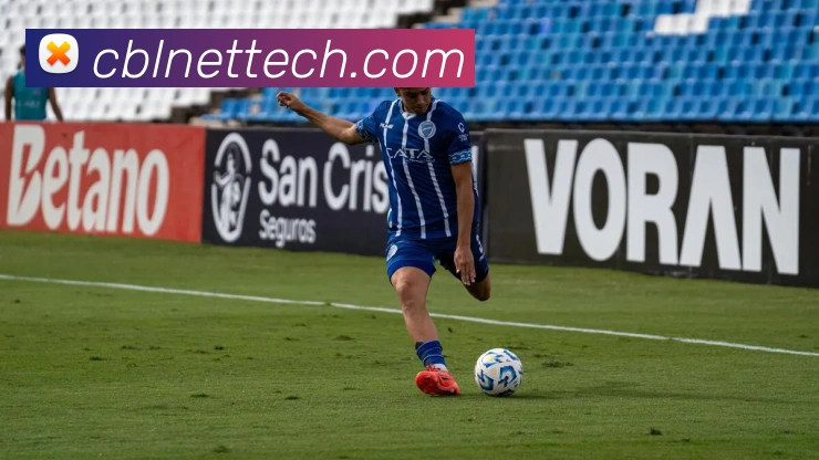 欧宝在线官网平台生态图